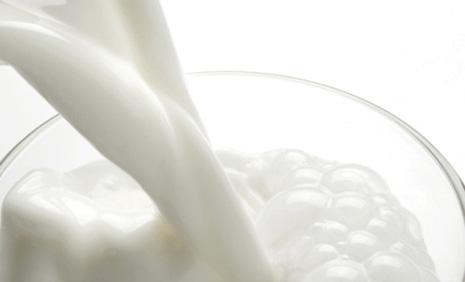 ⚡Dairy – “Got Good Milk?”