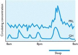 Porolactin &. gh circulatory hormones both increase during sleep