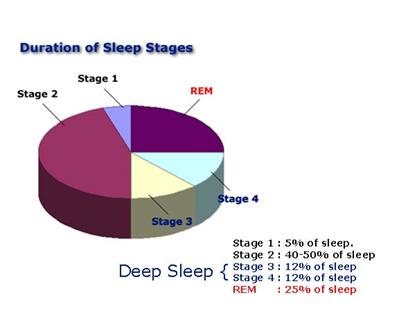 Pie chart showing duration of each sleep stage