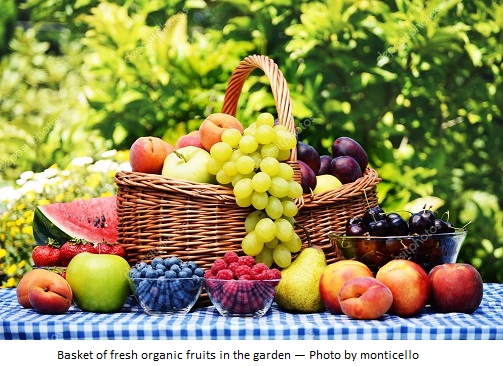 CHART: Fructose in Fruit