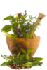 Pot of herbs