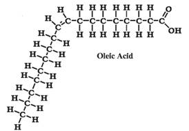 Oleic Acid skeleton
