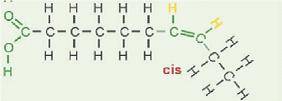 CIS fatty acid diagram