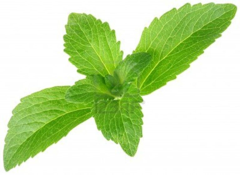 Stevia – A natural non-nutritive sweetener (NNS)