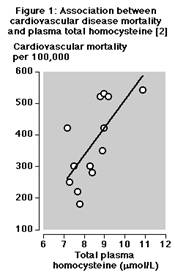 Graph: Homocysteine strong risk factor for cvd