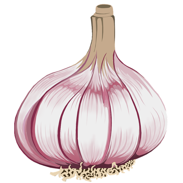 garlic bulb