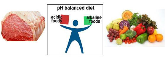 Body’s acid-alkaline balance of prime importance in health