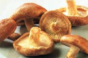 How to get vitamin D from sundried mushrooms