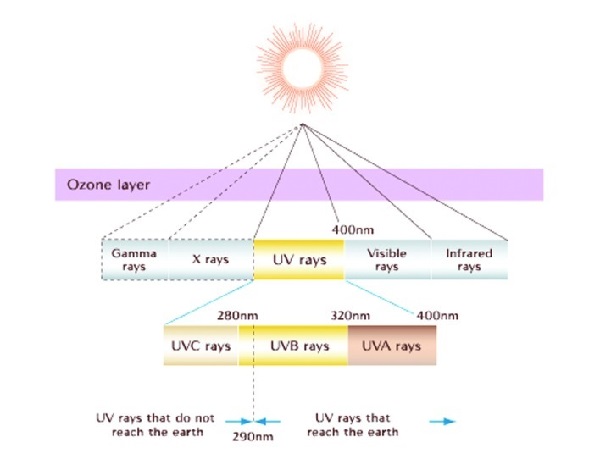 <span class="UVA">UV-A</span> vs. <span class="UVB">UV-B</span> radiation