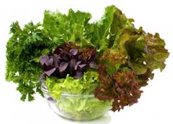 Folate (B9) is essential for good health