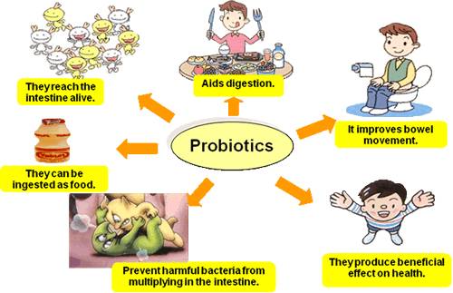 Probiotics – “For Life!”