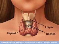 Iodine against thyroid disorders