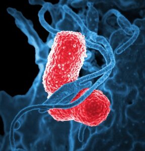 Iodine against microbes<span class="hdg-smaller"> – Blood cleanser / disinfectant / antiseptic</span>