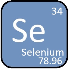 Selenium – Antioxidant support