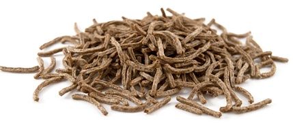 Phytic acid / Phytate  – Good or bad for you?