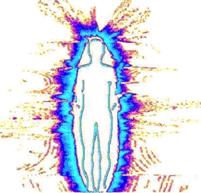 ⭐THE BODY ELECTRIC