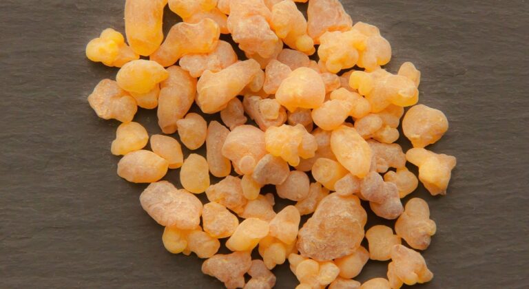 <b>Frankincense essential oil</b> – Gift of the Magi (N/A)