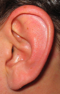 Instructions for using CDS for ear infections