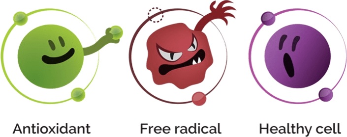 Antioxidants -“Oxidant damage control”